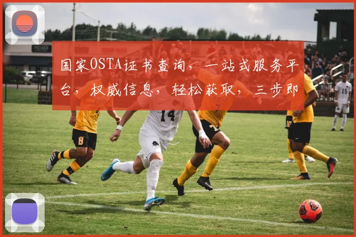 国家OSTA证书查询，一站式服务平台，权威信息，轻松获取，三步即可。