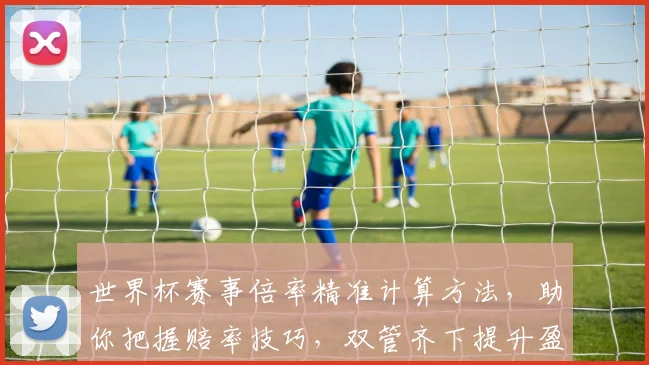 世界杯赛事倍率精准计算方法，助你把握赔率技巧，双管齐下提升盈利概率