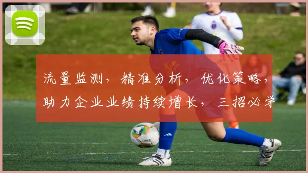 流量监测，精准分析，优化策略，助力企业业绩持续增长，三招必学