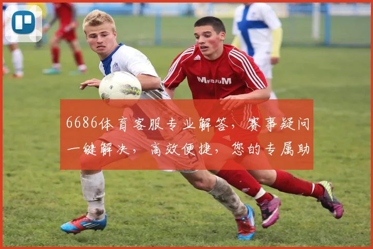 6686体育客服专业解答，赛事疑问一键解决，高效便捷，您的专属助手