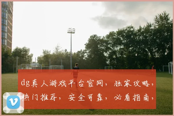 dg真人游戏平台官网，独家攻略，热门推荐，安全可靠，必看指南，轻松畅玩
