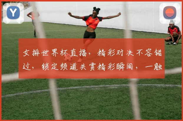 女排世界杯直播，精彩对决不容错过，锁定频道共赏精彩瞬间，一触即发
